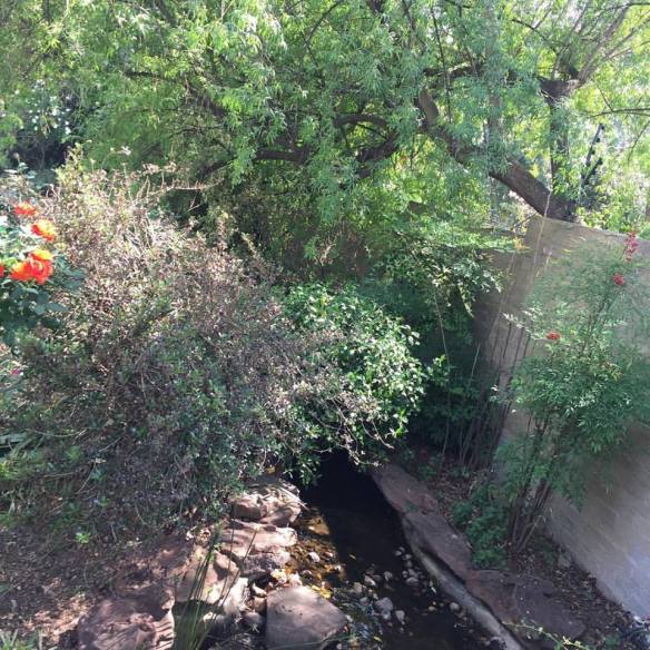 waterfeatureourgarden